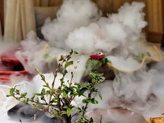 -叶叶菩提(太原别墅店)