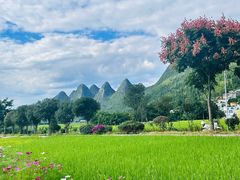 -万峰林风景区