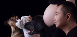 点击看大图 -暖摄影 孕妇写真家庭影像馆 (自然光主题店)