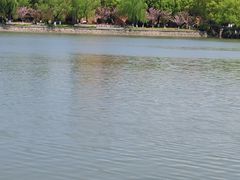 -上海交通大学闵行校区-包玉刚图书馆