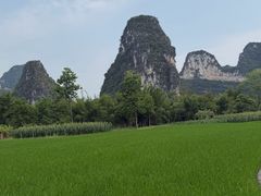 -明仕田园