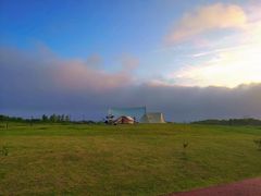 -春花秋色城市公园