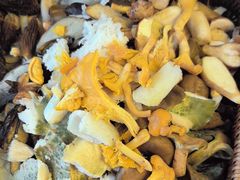 -山菌美食苑(振兴路店)