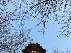 -洋湖国家湿地公园