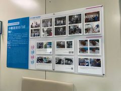 -北京观赏动物医院·24小时大型综合·猫专科·异宠专科