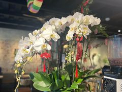 -邊渡咖啡