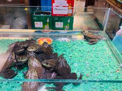 甲鱼牛蛙锅-洪湘记川湘·甲鱼馆(四海凯悦美食广场店)