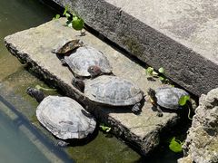 -宁波市保国寺古建筑博物馆