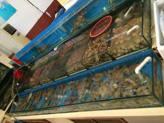 -小铜锣湾海鲜家常菜馆(河西店)