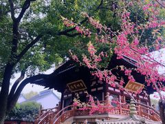 -寒山寺