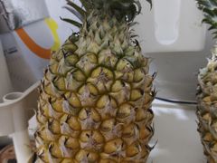 -羊栏农贸市场(羊新路店)