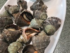 海螺-开海·红岛海鲜虾水饺(石老人店)