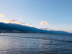 -恋羊时代黑山羊火锅(滨海大道店)