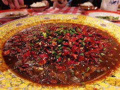 -思博半步颠小酒馆(梦时代店)