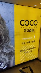 -可可丽舍
