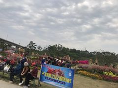 -秀丽东方