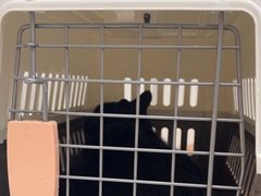 -瑞鹏宠物医院·骨科·猫科·内科(第一中心)