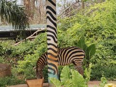 -海南热带野生动植物园