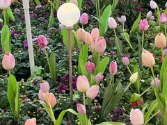 -天河城购物中心