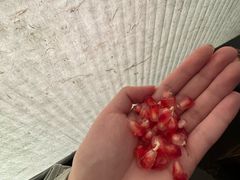 -牛New寿喜烧(新六百店)