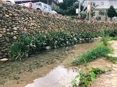 -军营村