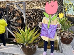 -海堤葡萄园中小学生研学基地