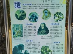 -南昌动物园