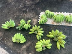 -民盈·国贸城