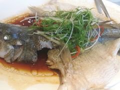 -至潮餐厅精致粤菜·活鲈鱼·走地鸡(珠江新城店)