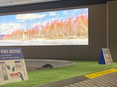-哈尔滨太平国际机场-T2航站楼