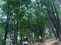 -火炉山森林公园