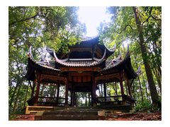 -峨眉山报国寺