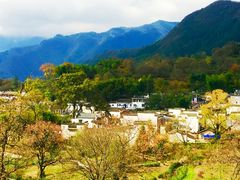 -塔川景区