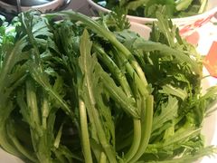 茼蒿-汕头八合里海记牛肉店(清河店)