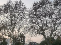 -中国京杭大运河博物馆