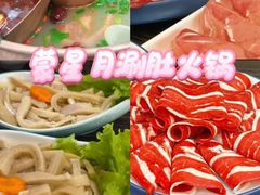 -蒙星月涮肚火锅城(宏运家园店)