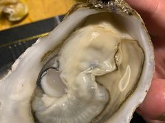 -囧吉香生蚝牛排馆(湖北路店)
