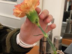 -红房子西菜馆(淮海中路店)