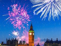 虾仁烧茄子-苏闽菜馆(鞍山道店)