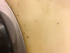 -袁记串串香(新南门店)