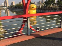 -菊园百果园