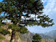 -秦岭终南山世界地质公园翠华山景区