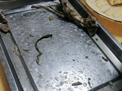 -马有川机场羊羔肉(总店)