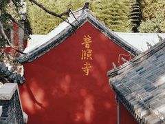 -泰山风景名胜区-普照寺