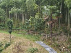 -将军关探险漂流