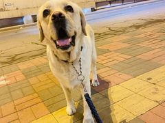 -美联众合24小时·皮肤科·外科·全科诊疗中心(华苑分院)