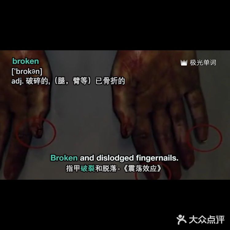 今天学习极光单词十三分钟