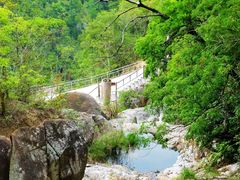 -海南霸王岭国家森林公园