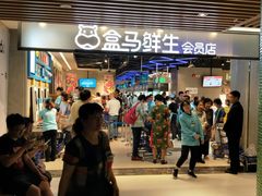 门面-盒马鲜生(曜一城店)
