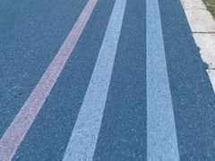 -贡湖湾湿地公园